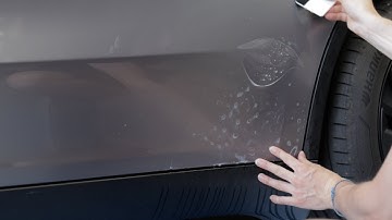 Model Y Juniper Rear Doors Paint Protection Film - PPF Installation