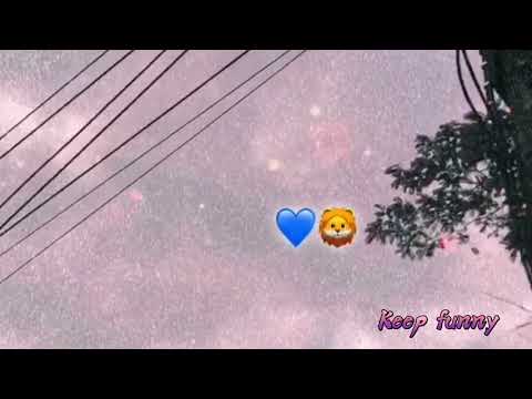 ( วนท่อน )​~ไม่มีเเผนการ💙🦁