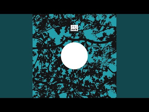 Blackjoy — Moustache (Prins Thomas DiskoMixs)