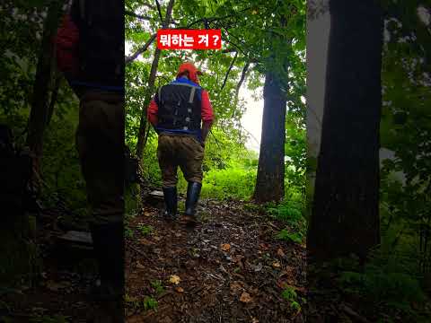 굴피집 <strong>우중산행</strong> 나무아래 쉬던중 ᆢ