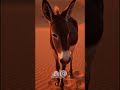 जब किस्मत ने छीना सब कुछ… | #cartoon #ai #viral #shorts #reels