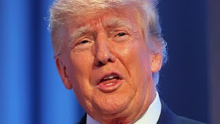 Stupidly Expensive Things Donald Trump Has Owned