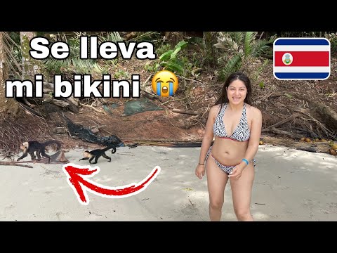 Llegaron monos 🐒 ladrones a la playa mientras me bañaba | Celinaz El Salvador