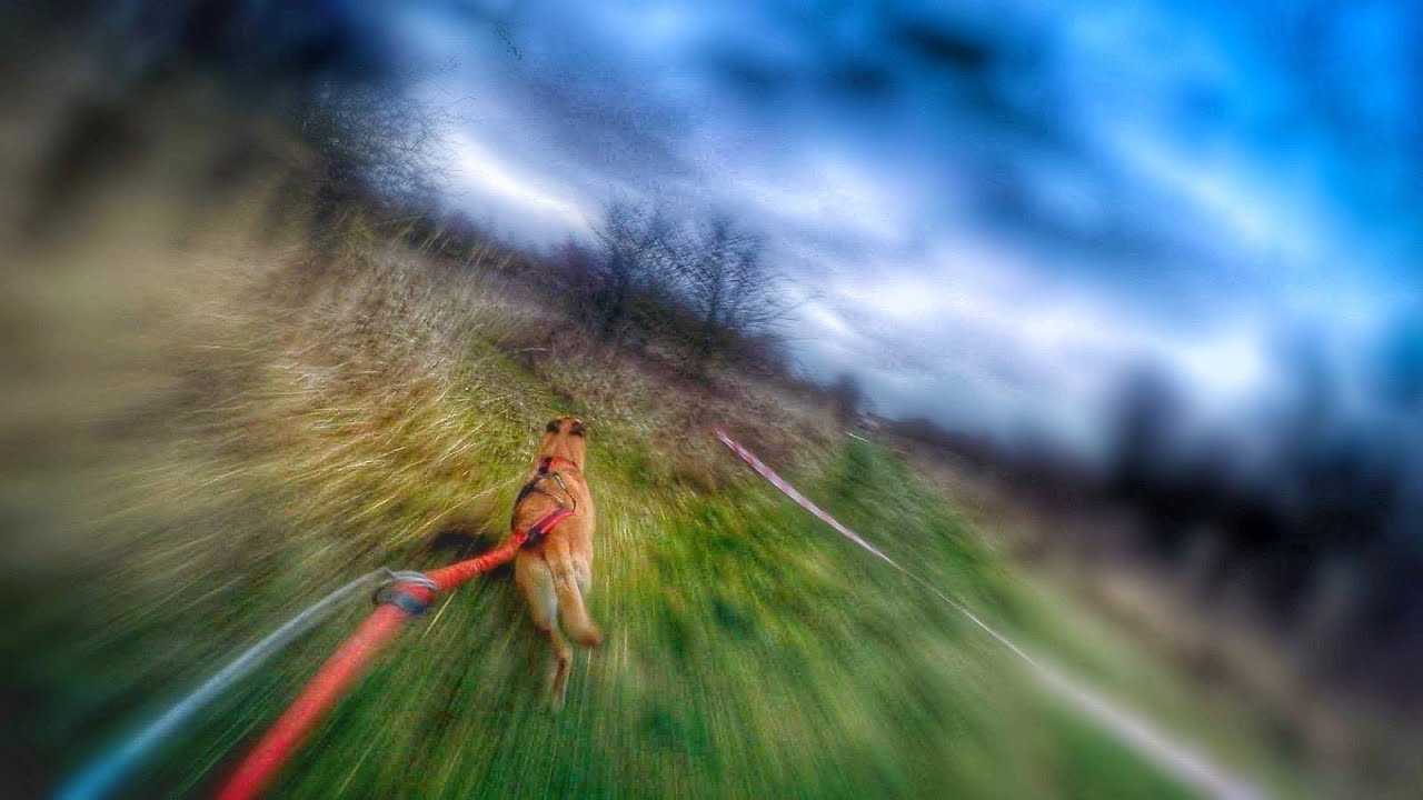 CANIVTT COMPETITION GRAVELINES 2019 FIRST PLACE