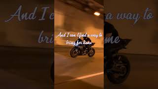 Last Leaves Of Autumn