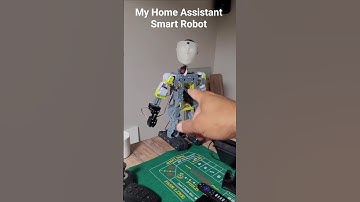 My Home Assistant Robot connected to my home