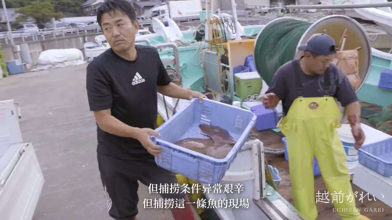 三条魚 美食福井（Chinese subtitle Ver.）】越前鲽鱼 / 越前鰈魚