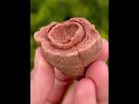 СТРОМАТОЛИТ — древний камень с энергией первичной жизни - Марокко, видео 1
