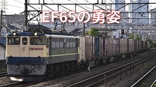 【4K】EF65の勇姿を記録して-1