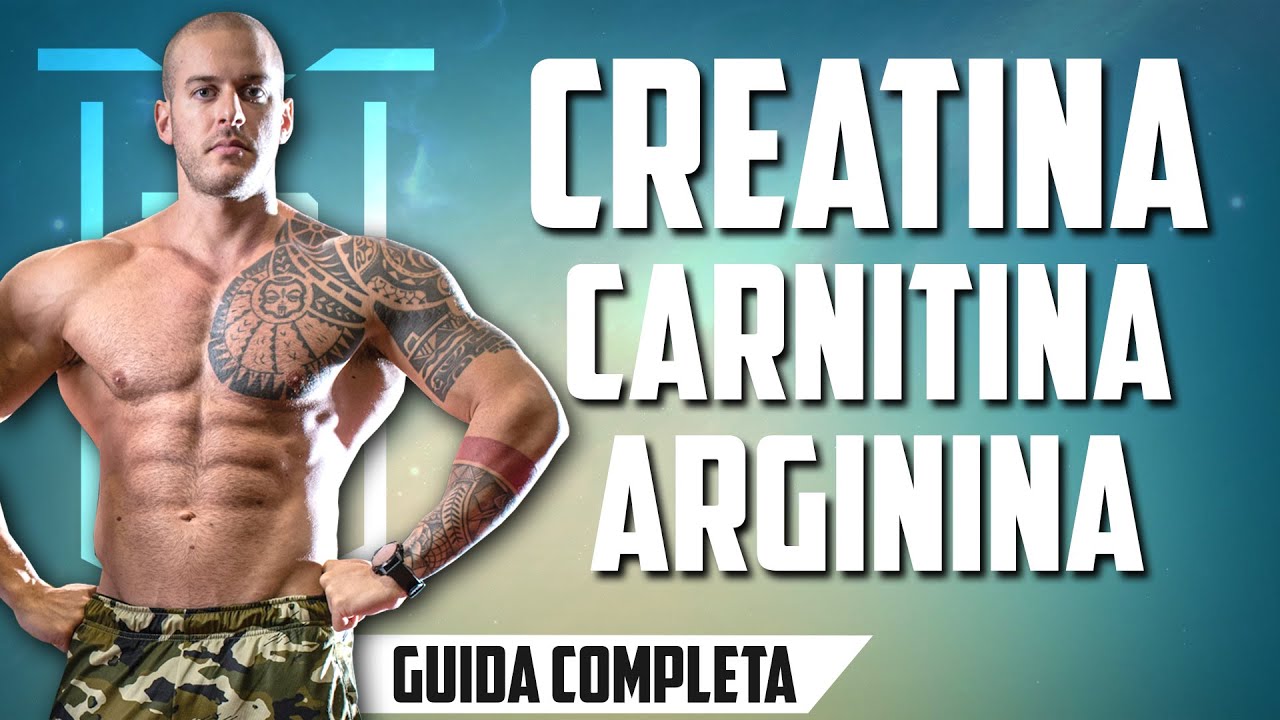 l carnitina e creatina Life Extension, Acetil-L-Carnitina Energy Plus, 233 gramas CREATINA Y L-CARNITINA QU SON?