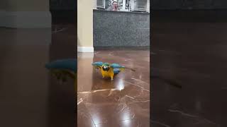 Welcome to Cypress Pointe Resort