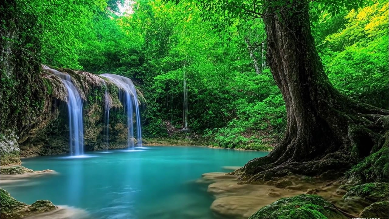 Gentle Piano Music & Water Sounds | Calm Your Mind and Meditate 🌼 Relaxing,Calm Music ambiance 2