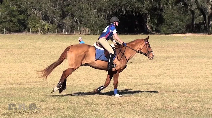 Laurie Beall & Incendio Rocking Horse Winter 3 2016