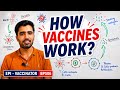 How Vaccines Produce Immunity? 💉 Easy Explanation | EPI Vaccinator Test Preparation