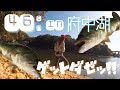 減水府中湖~short movie~