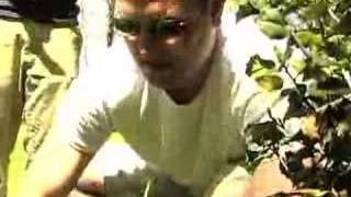 Environmental Landscaping