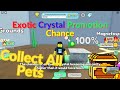 Roblox collect all pets  maxing exotic crystal promotion chance