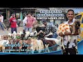 Rajabazar Narkeldanga Bakra Mandi Complete Tour | Covering 5 Stalls With Price | Baby Goat For Sale