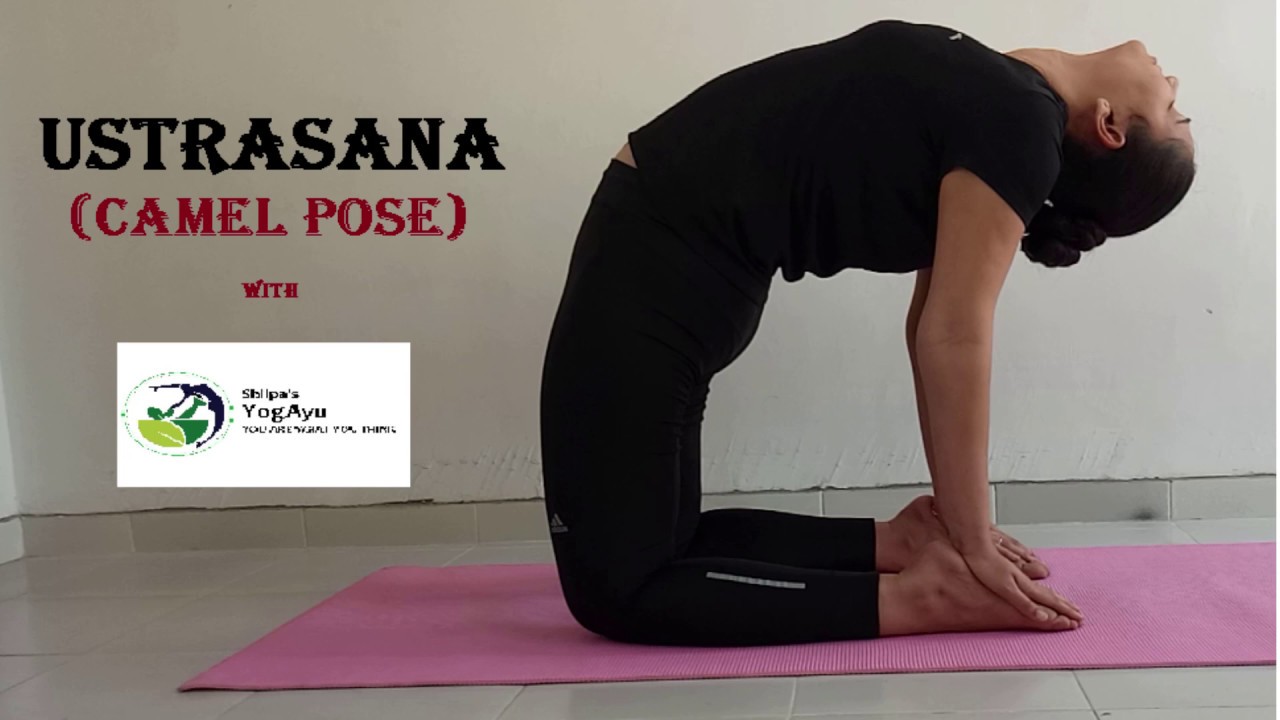 Ustrasana In Bengali Ustrasana In Bengali