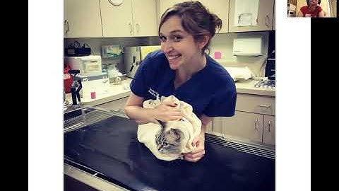 Manual handling video 3