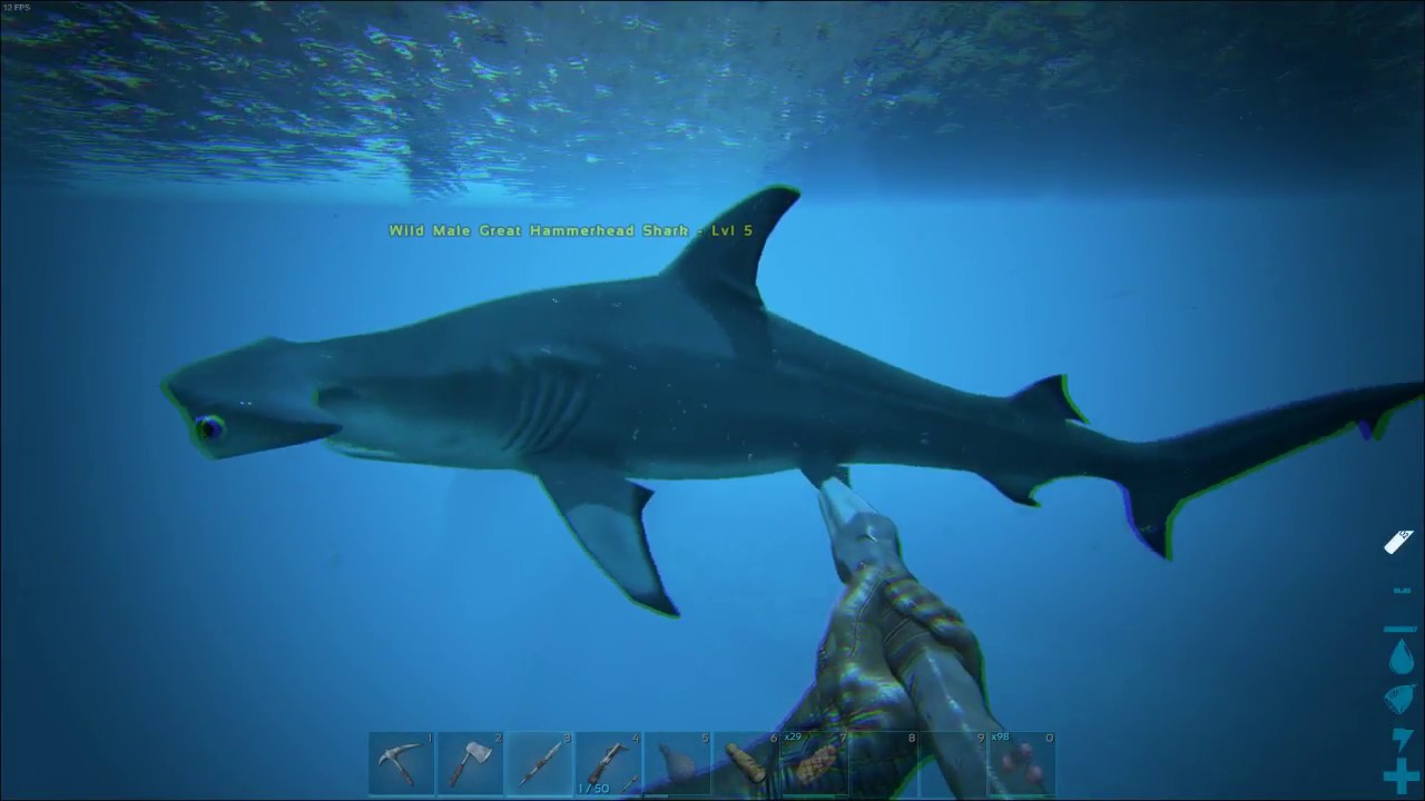 ARK Modded: Exploring the Ocean via Dynamic Means - YouTube