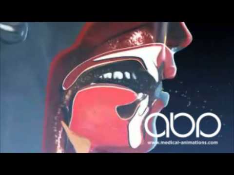 Virus Spread via Sneezing and Coughing - 3D Medical Animation || ABP © - YouTube