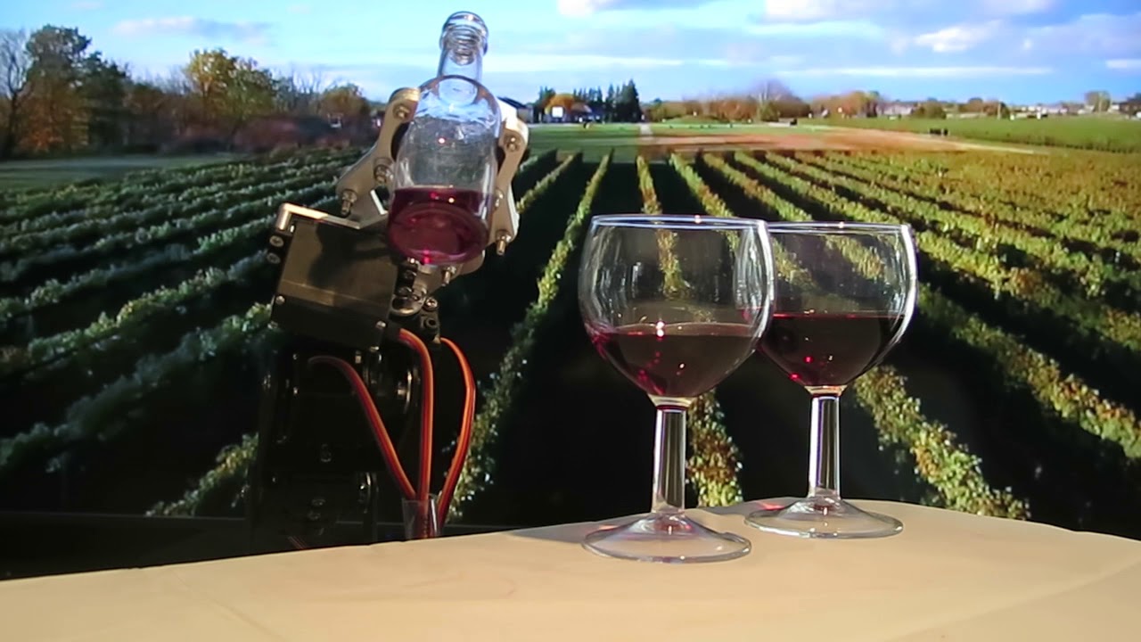 6 DOF Robot Pouring Wine