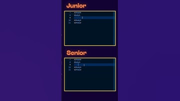 Junior Developer vs Senior Developer 😎 #webdeveloper #webdevelopment #coding #programming #tech