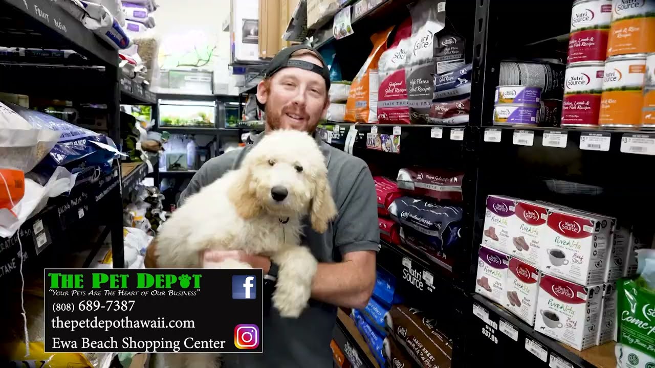 Pet Depot 1