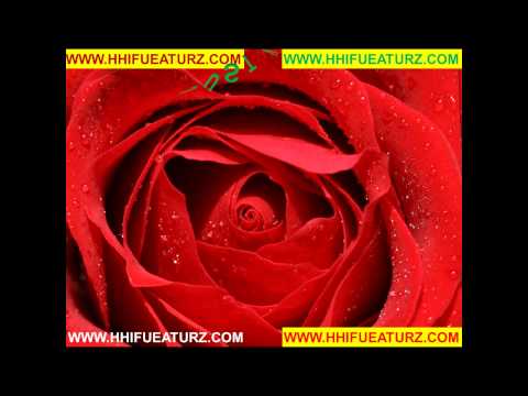 free-classified-ad-post-site-free-classified-ad-post-website-all-free-classified-site-to-post-ads-ad