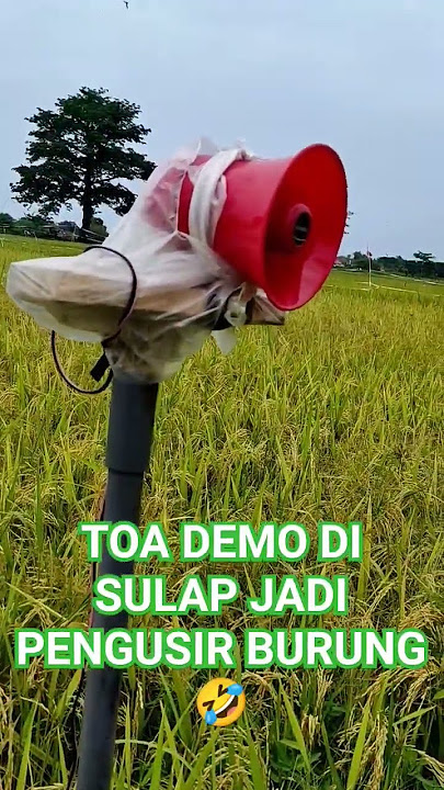 Versi Terbaru pengusir burung Kekinian