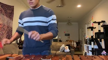 2 Mallet Excerpt 164 bpm