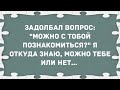 Можно с тобой познакомиться? Сборник Смешных свежих анекдотов!