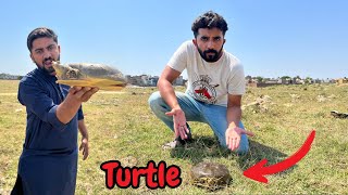 Hum nay turtle pakar lea || Pet house mein turtle Aa gaya 😲