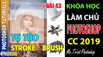 Bài 43: Tự Tạo Stroke - Brush Hình Dạng Bất Kỳ 🔴 Làm Chủ Photoshop CC 2019