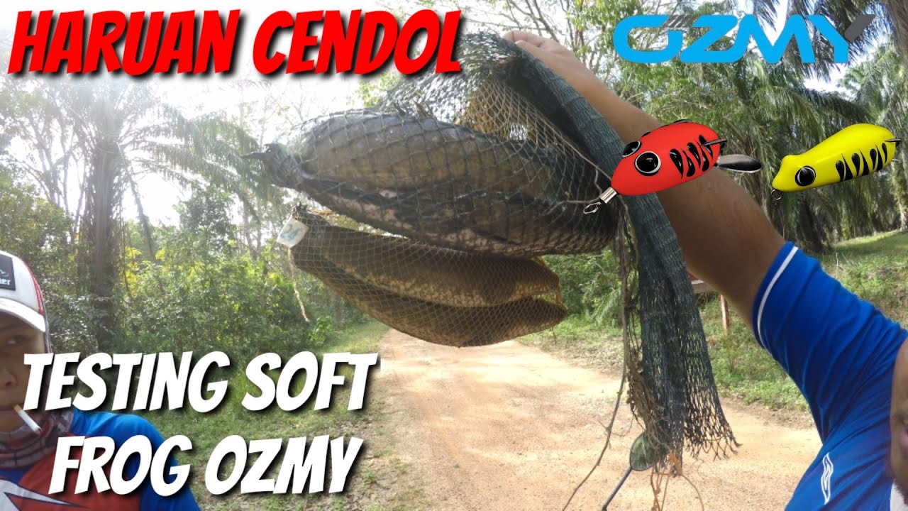 HARUAN CENDOL/TEST SOFT FROG OZMY/#LULUS/#VLOG13 