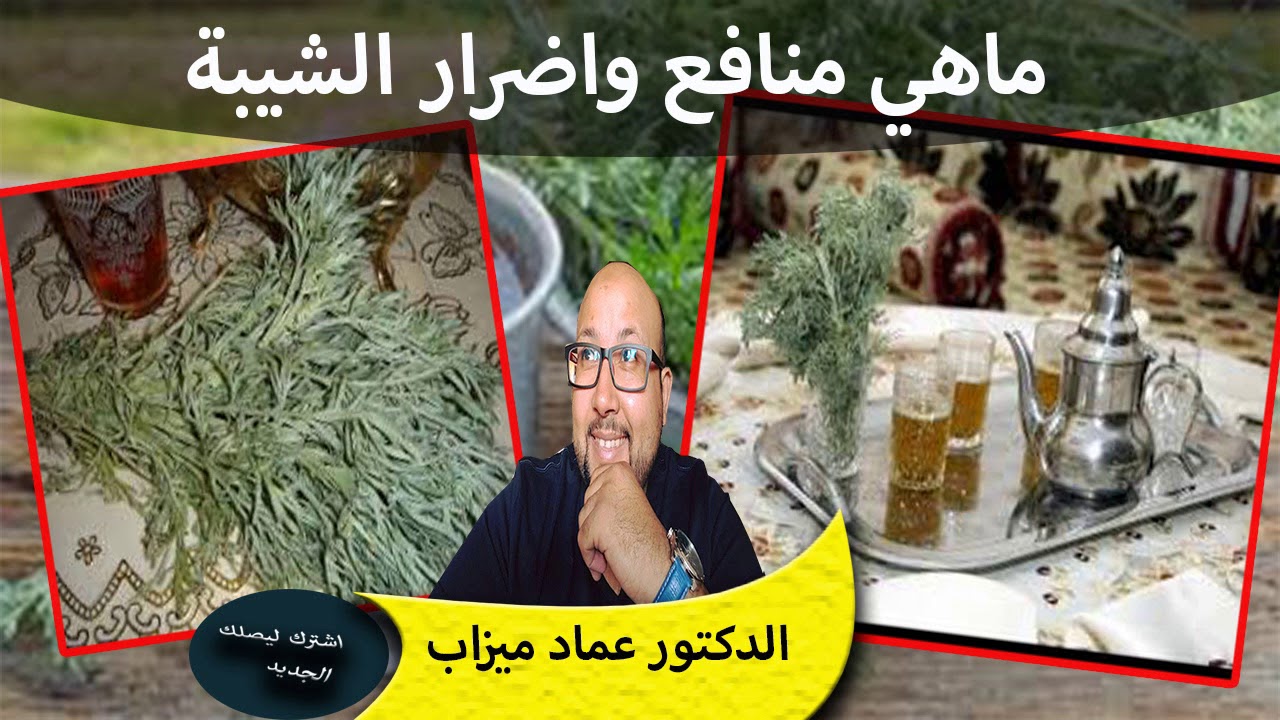 ماهي منافع واضرار الشيبة ومن هم الاشخاص الممنوعة عنهم الدكتور عماد ميزاب