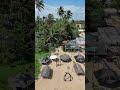 Hikkaduwa Beach Sri Lanka 🌊🏝️ Drone Ocean View ✨🇱🇰🚁  #bali #travel #baliescape #indonesia #nature