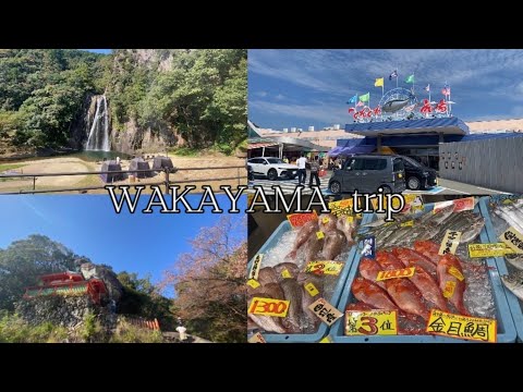 【Vlog】和歌山旅行🚅🍊🇯🇵/テントサウナ/大自然/神社