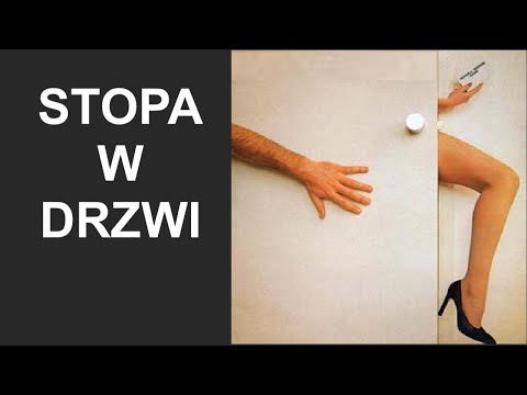 #51 Dobierz taktykę do przekonywania