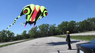 Trilobite kite 43 sqm Chicago launch