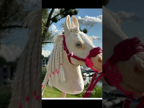 Choose your hobbyhorse!