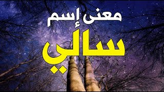 معنى اسم سالي وصفاته وحكم التسمية به , معنى اسم سالي في اللغة العربية وفي القرآن الكريم وشخصيتها