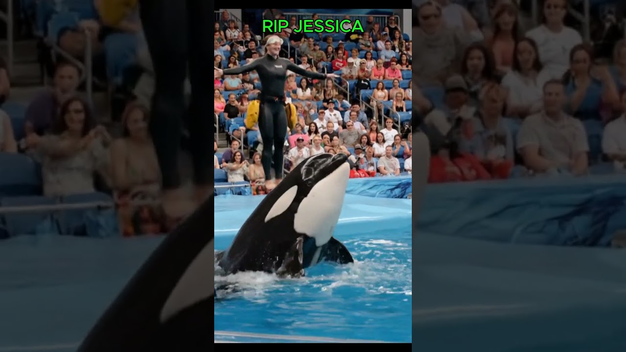 Jessica Radcliffe's Disturbing Video |FINAL MOMENTS (TERRIFYING FOOTAGE) AI VISUALS | RIP JESSICA