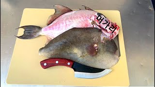 How to Clean a Triggerfish. No WASTE!