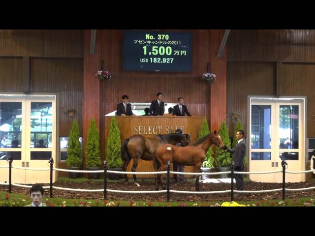 セレクトセール2011 - No.370 - ハーツクライ産駒 - YouTube
