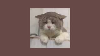 paul - big thief (slowed+reverb)