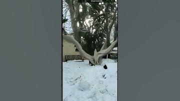 Augmented Reality + AI art