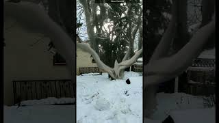 Augmented Reality + AI art @grae_n