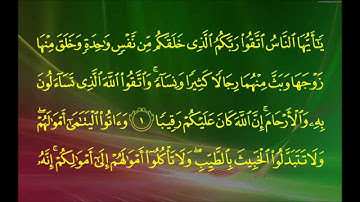 سورة النساء (الآية 1 ~ الآية 10) - ياسر بن راشد الدوسري
